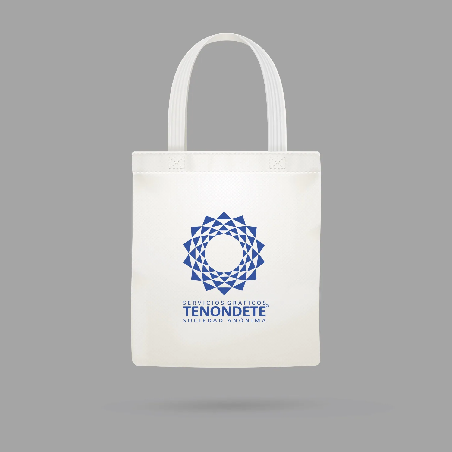 Bolsa con manija Tenondete en TNT